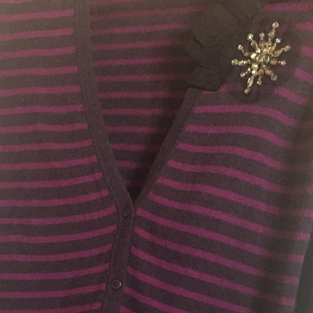 Ann Taylor LOFT  Cardigan